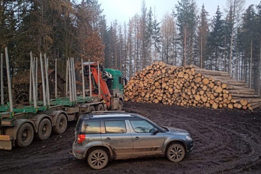 Povinnosti majitele lesa