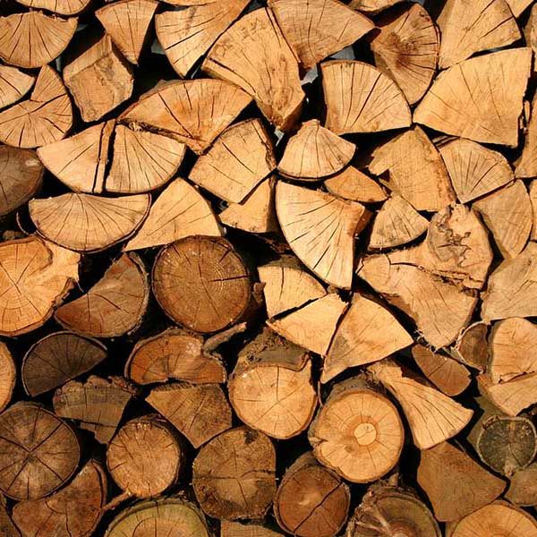 těžba dřeva 600